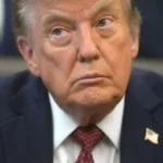 Trump deve enviar representantes a Brasília para investigar sistema eleitoral brasileiro Trump deve enviar representantes a Brasília para investigar sistema eleitoral brasileiro